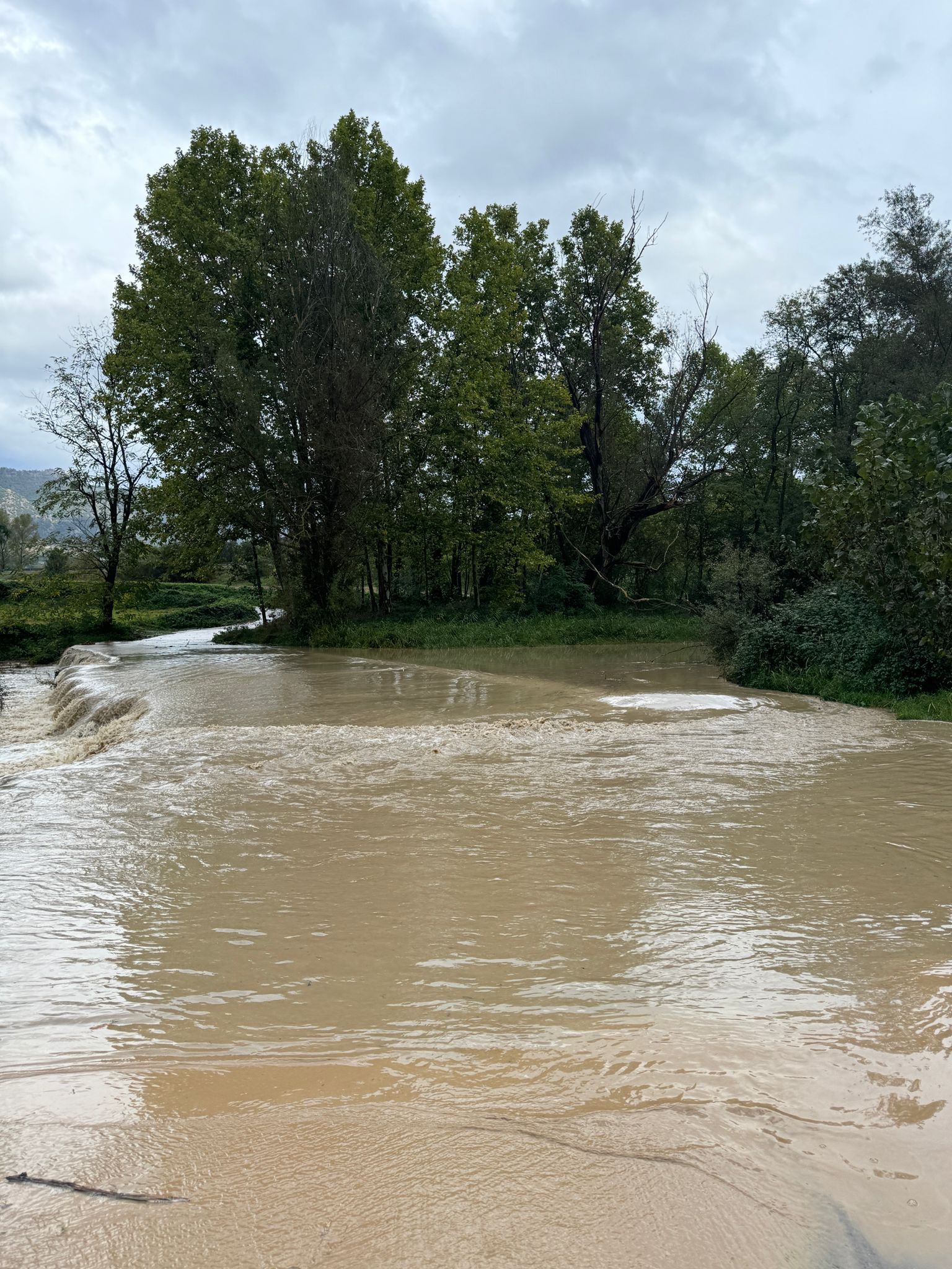 TALL PER OBRES A LA PASSERA DEL TENNIS